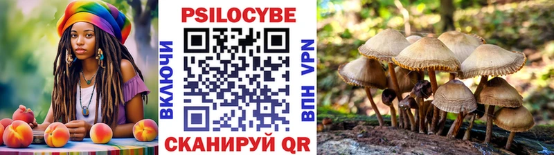Купить где  Белореченск  Галлюциногенные грибы Cubensis 